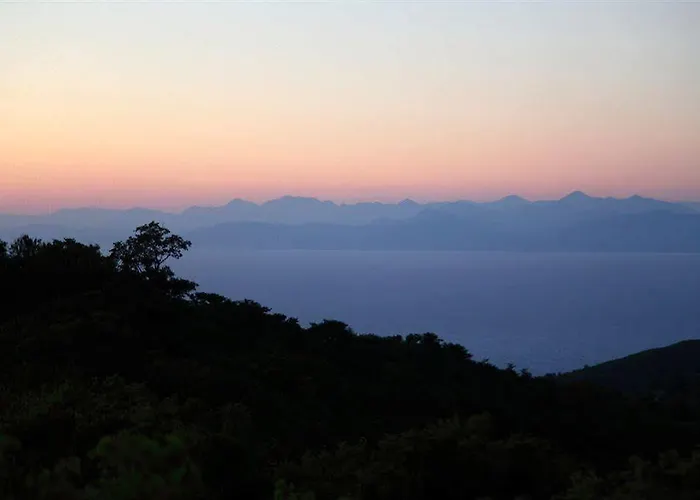 Panorama *