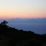 Panorama *